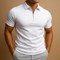 Ανδρικό πόλο με φερμουάρ, slim fit, μοντέρνο, διαπνέον, κομψό, casual